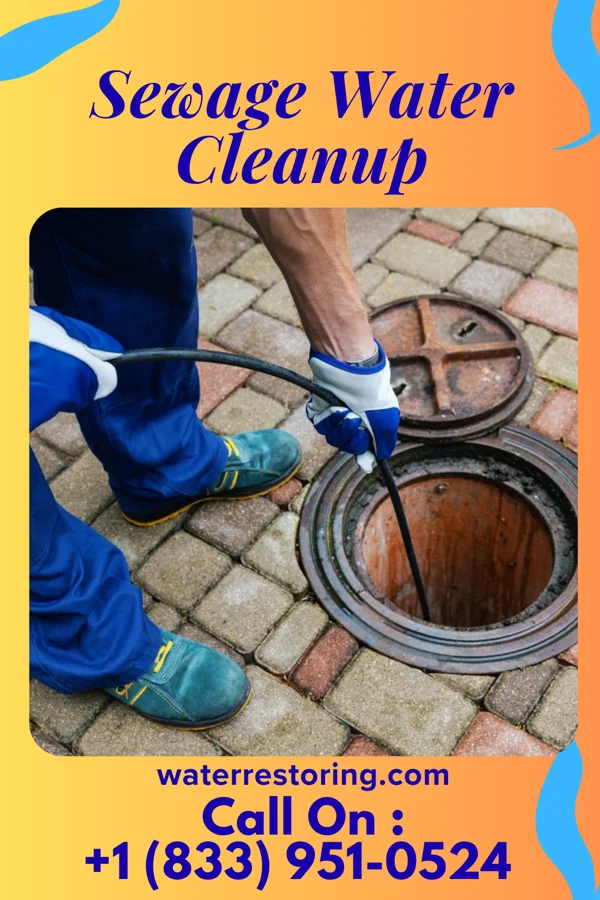 Sewage Water Cleanup in Jackson, WI